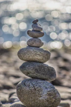 Explore the profound impact of sleep on health, memory, and well-being in this informative blog post. Discover the crucial role of sleep in learning, immune system function, cardiovascular health, and even DNA integrity. Prioritize quality sleep for a healthier, more vibrant life.